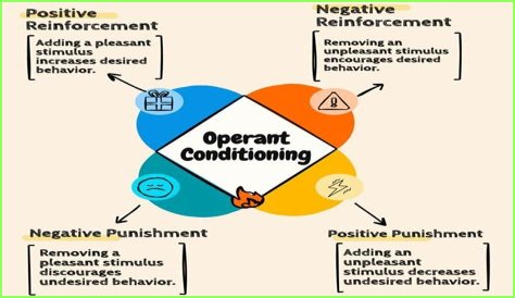 Is operant conditioning a theory?
