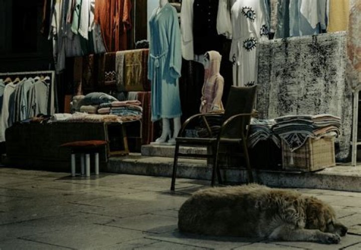 Can anyone open a charity shop?