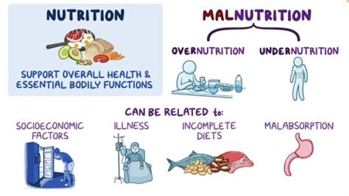 How can we solve the problem of malnutrition?
