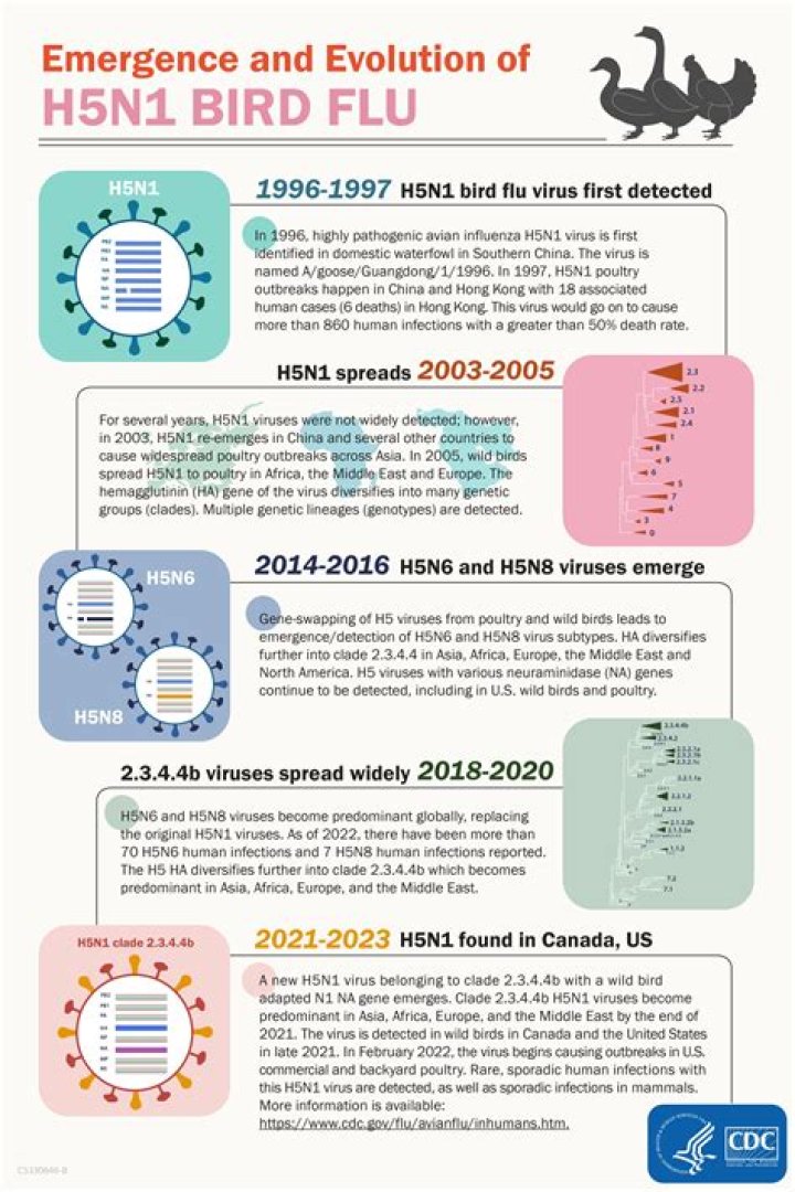 How did Hong Kong stop the H5N1 flu virus?