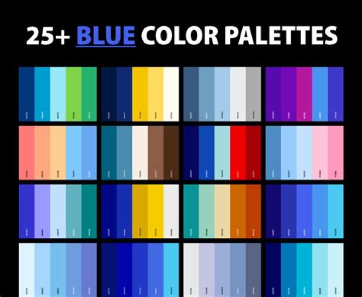 How do you use the word palette?