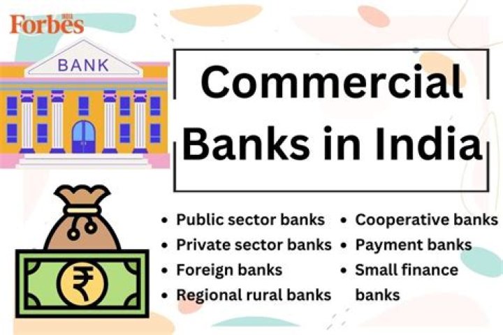 How many domestic licensed commercial banks are there in Sri Lanka?