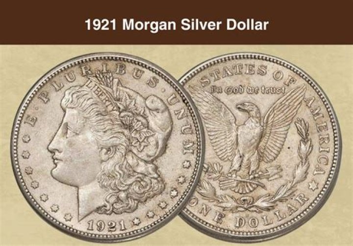 How much do old silver dollars weigh?