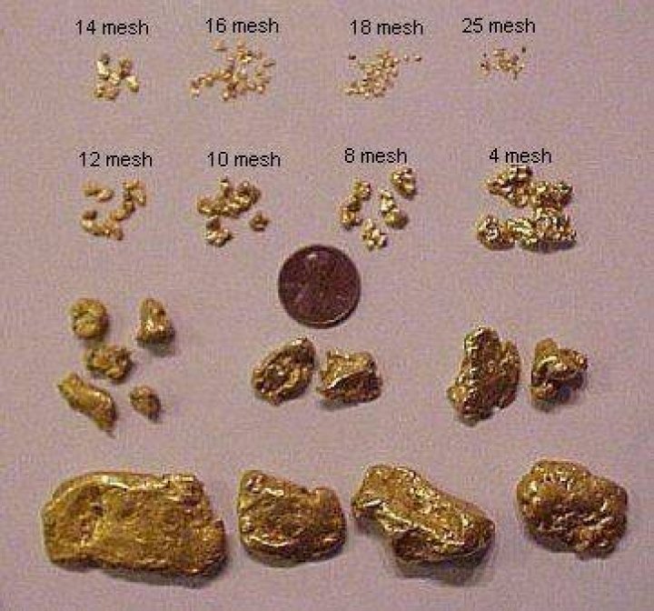 How much is one gram of gold worth?