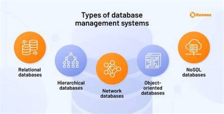 What are advantages of business databases?
