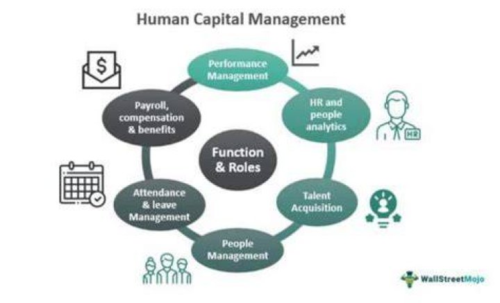 What are examples of human capital?