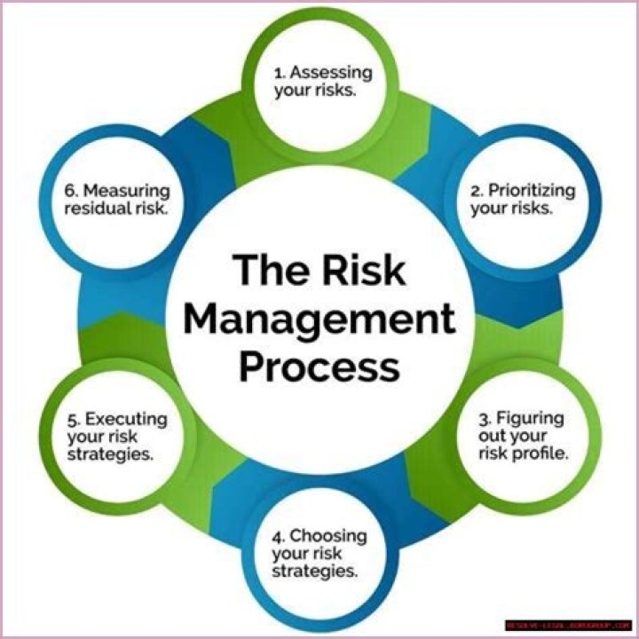 What are risk management functions?