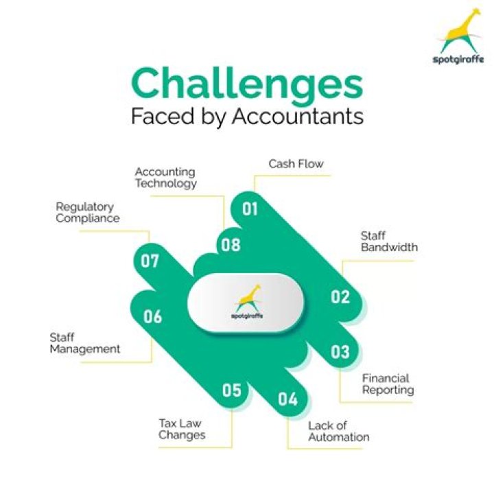 What are the challenges faced by accountants?
