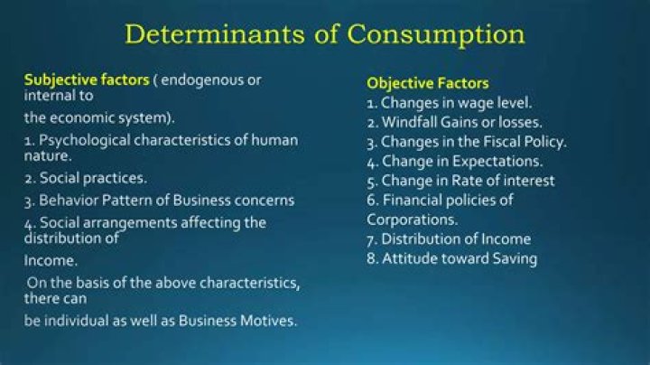 What are the determinants of the level of consumption?