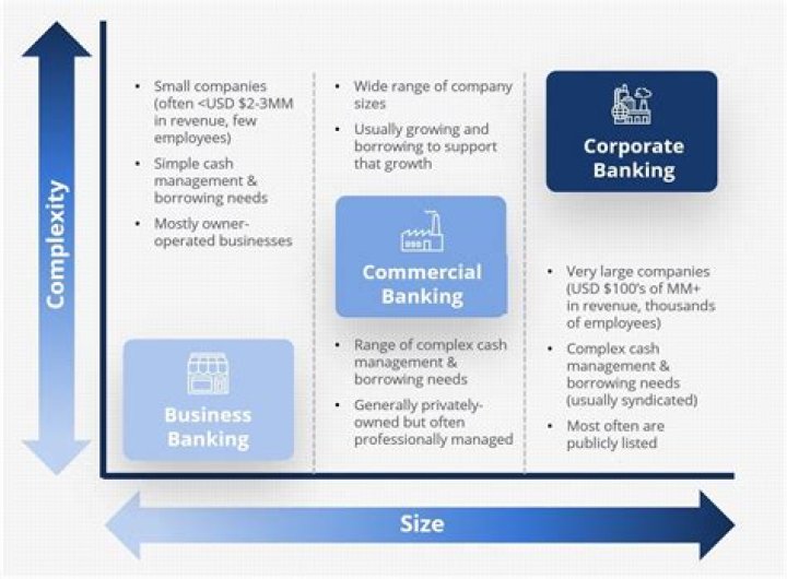 What are the examples of commercial banks?