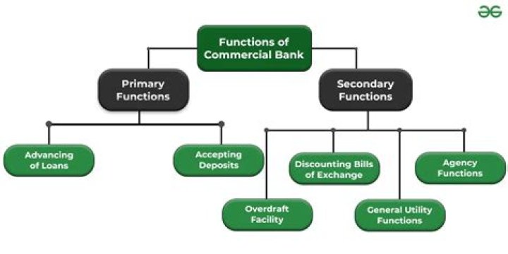 What are the functions performed by Bank?