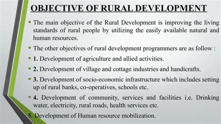 What are the objectives of rural banks?