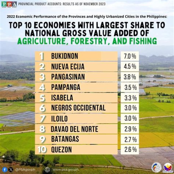 What are the top fish producing regions in the Philippines?