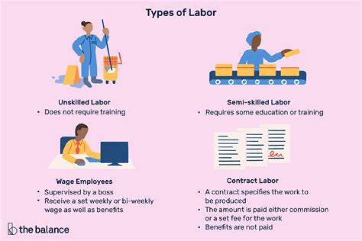What do you mean by labor economics?
