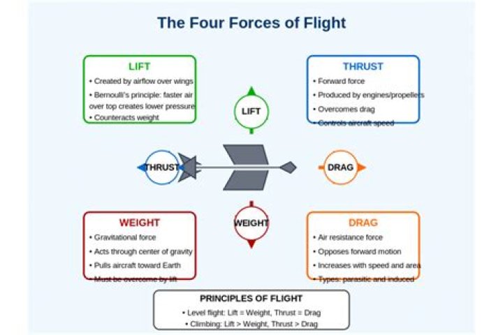 What forces affect a plane in flight?