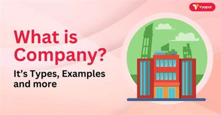 What is a company background definition?