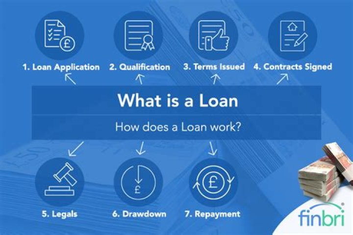 What is a loan category?