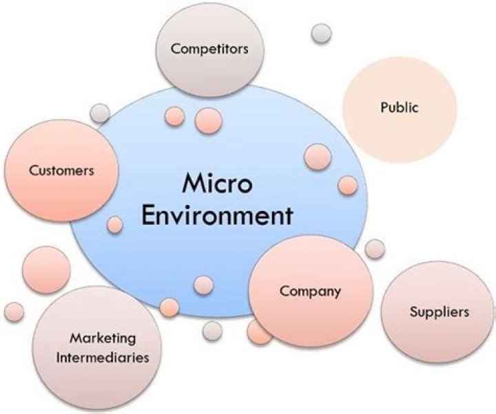 What is a micro environment?