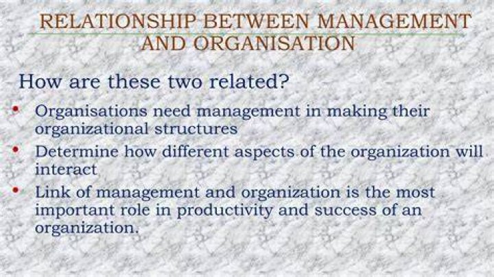 What is relationship between management and organization?