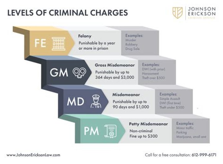 What level of crime is check fraud?