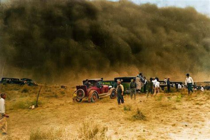 What was done to stop the Dust Bowl?
