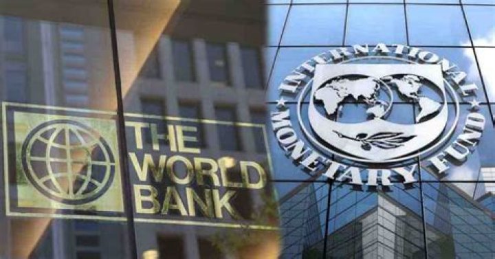 Which describes the goal of World Bank loans apex?