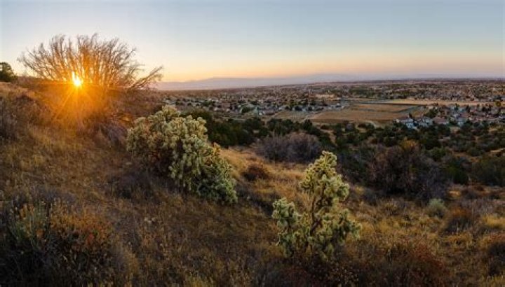 Who is the representative of Palmdale California?