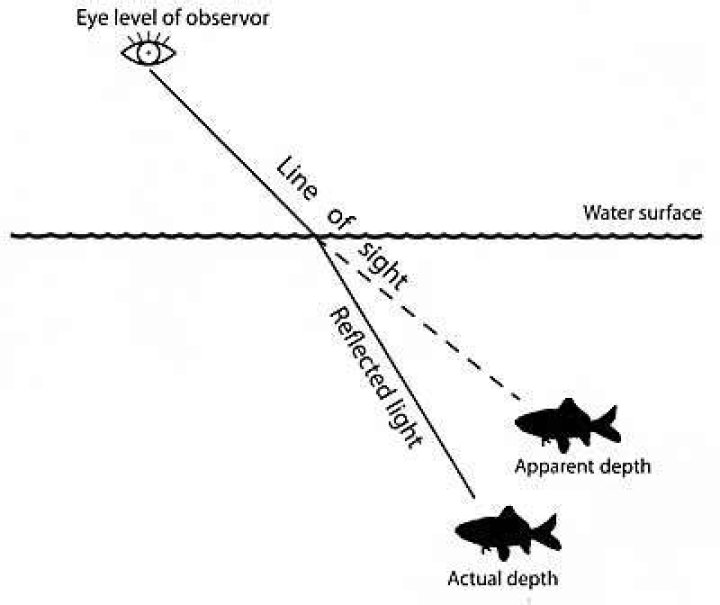 Why do things look shallower in water?