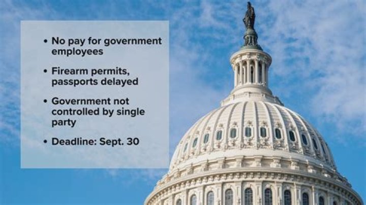 Why does the government have to borrow money?